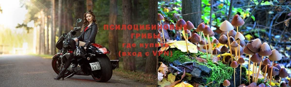 круглые Зеленокумск